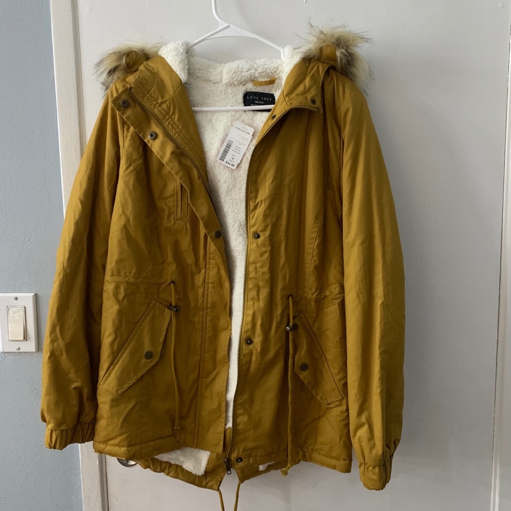 Yellow jacket - Picture 2 of 2